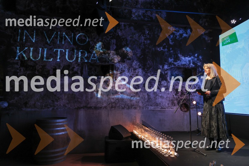 5. Mariborski turistični forum, Zavod za turizem Maribor