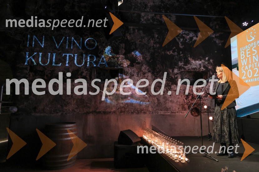 5. Mariborski turistični forum, Zavod za turizem Maribor