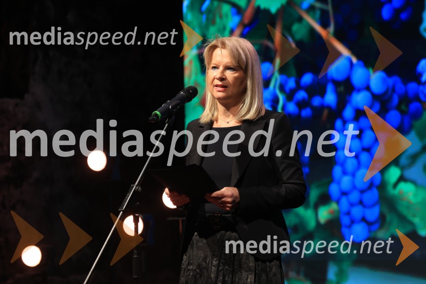 5. Mariborski turistični forum, Zavod za turizem Maribor