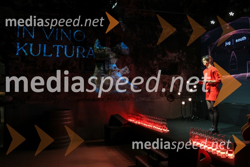 5. Mariborski turistični forum, Zavod za turizem Maribor