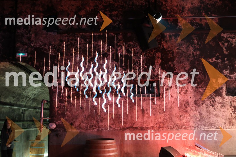 5. Mariborski turistični forum, Zavod za turizem Maribor