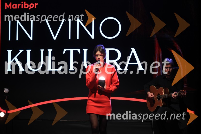 5. Mariborski turistični forum, Zavod za turizem Maribor