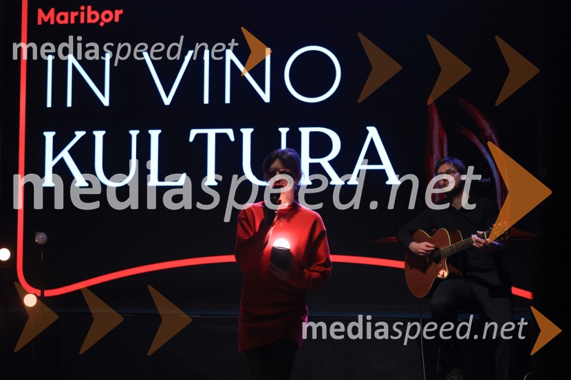 5. Mariborski turistični forum, Zavod za turizem Maribor