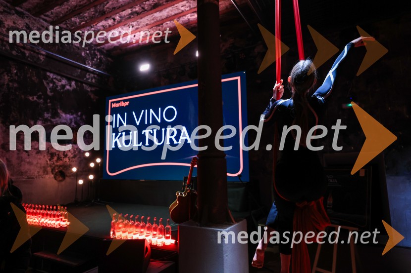 5. Mariborski turistični forum, Zavod za turizem Maribor