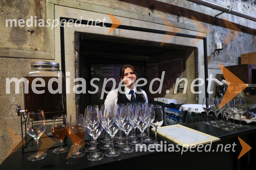 5. Mariborski turistični forum, Zavod za turizem Maribor