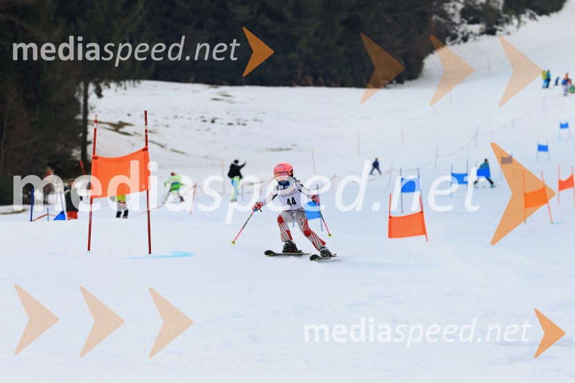 Koroški pokal 2026 - 1. tekma - Črna na Koroškem