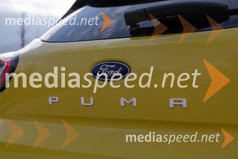 FORD PUMA GEN-E PREMIUM