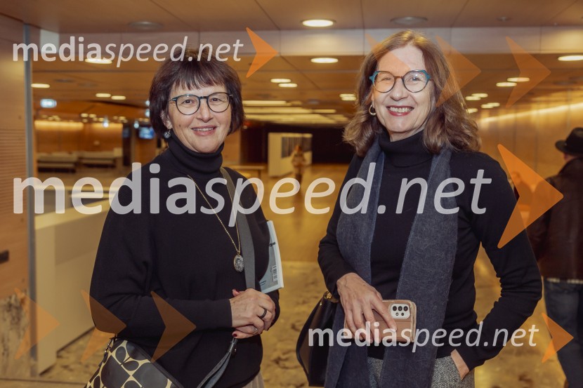 SREČKONSTRIPredstava je res čuden naslov za predstavo