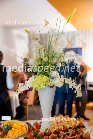 Alumni klub Fundacije Parus, tradicionalno srečanje