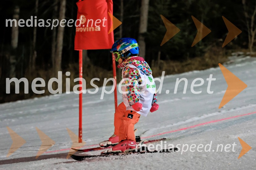 Koroški pokal 2026 - 2. tekma - Ribnica na Pohorju