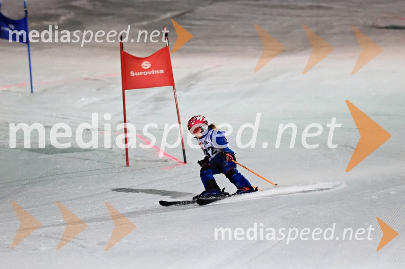 Koroški pokal 2026 - 2. tekma - Ribnica na Pohorju
