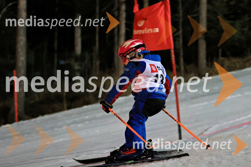 Koroški pokal 2026 - 2. tekma - Ribnica na Pohorju