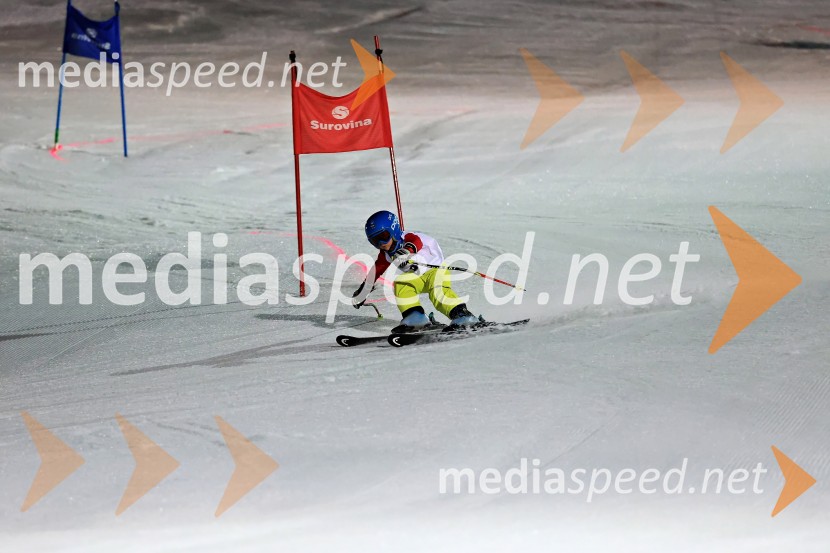 Koroški pokal 2026 - 2. tekma - Ribnica na Pohorju
