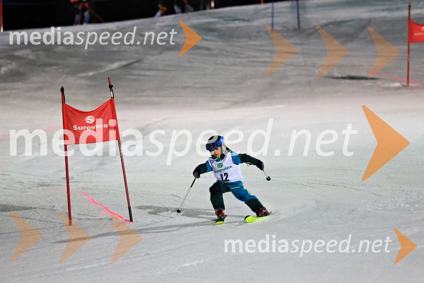 Koroški pokal 2026 - 2. tekma - Ribnica na Pohorju