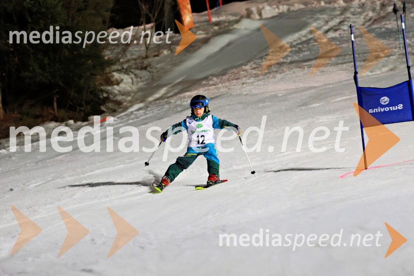 Koroški pokal 2026 - 2. tekma - Ribnica na Pohorju