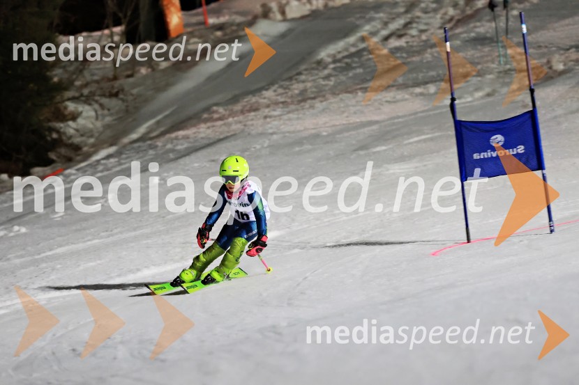 Koroški pokal 2026 - 2. tekma - Ribnica na Pohorju