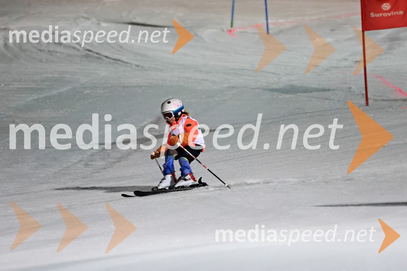 Koroški pokal 2026 - 2. tekma - Ribnica na Pohorju