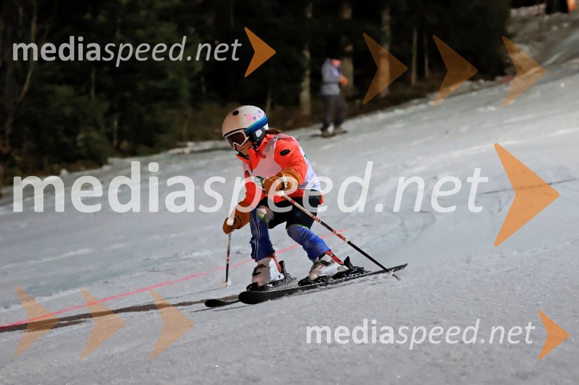 Koroški pokal 2026 - 2. tekma - Ribnica na Pohorju