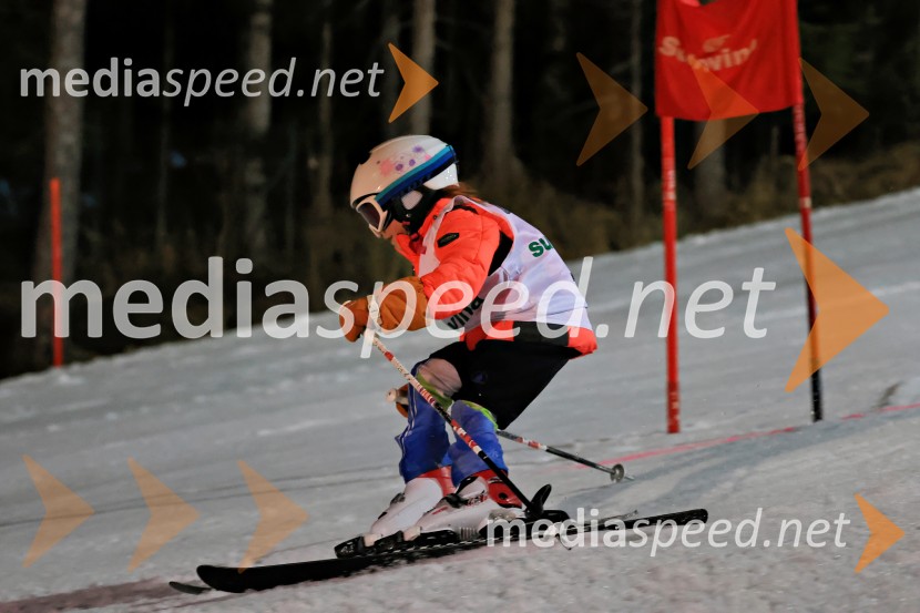Koroški pokal 2026 - 2. tekma - Ribnica na Pohorju