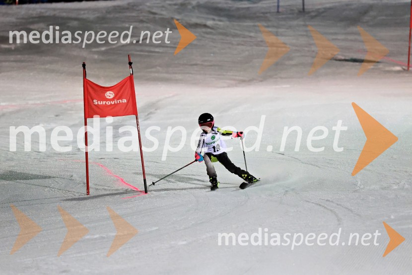 Koroški pokal 2026 - 2. tekma - Ribnica na Pohorju