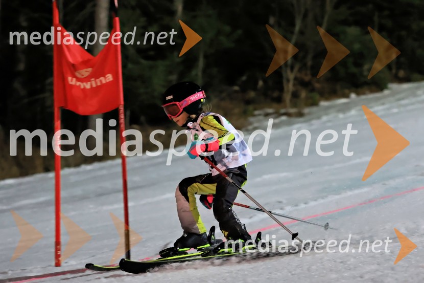 Koroški pokal 2026 - 2. tekma - Ribnica na Pohorju