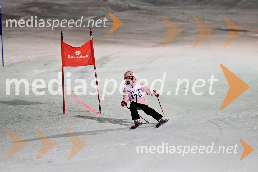 Koroški pokal 2026 - 2. tekma - Ribnica na Pohorju