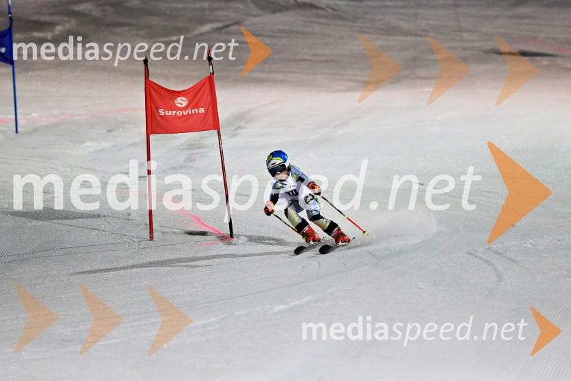 Koroški pokal 2026 - 2. tekma - Ribnica na Pohorju