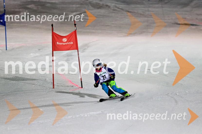 Koroški pokal 2026 - 2. tekma - Ribnica na Pohorju