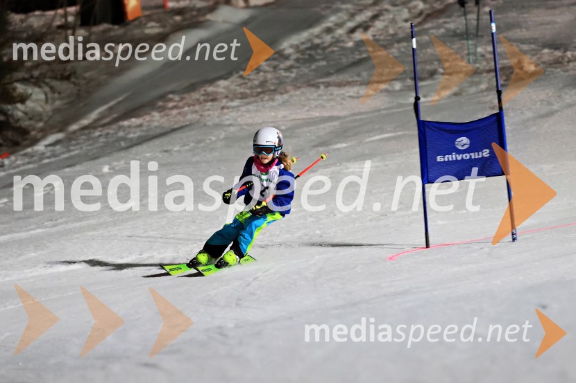 Koroški pokal 2026 - 2. tekma - Ribnica na Pohorju