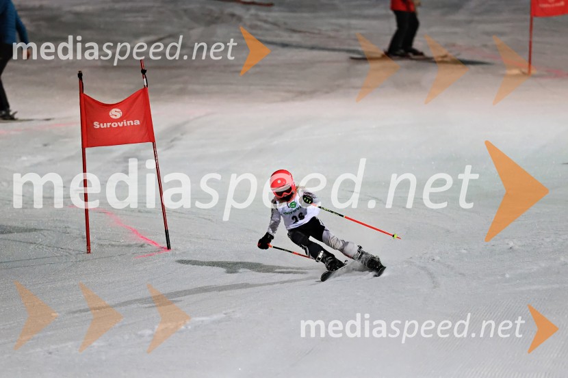 Koroški pokal 2026 - 2. tekma - Ribnica na Pohorju