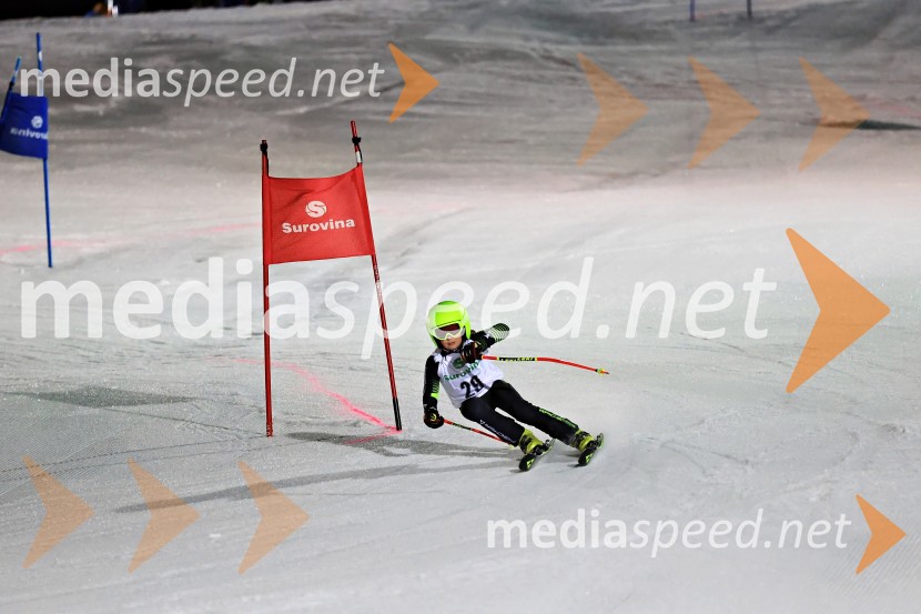 Koroški pokal 2026 - 2. tekma - Ribnica na Pohorju