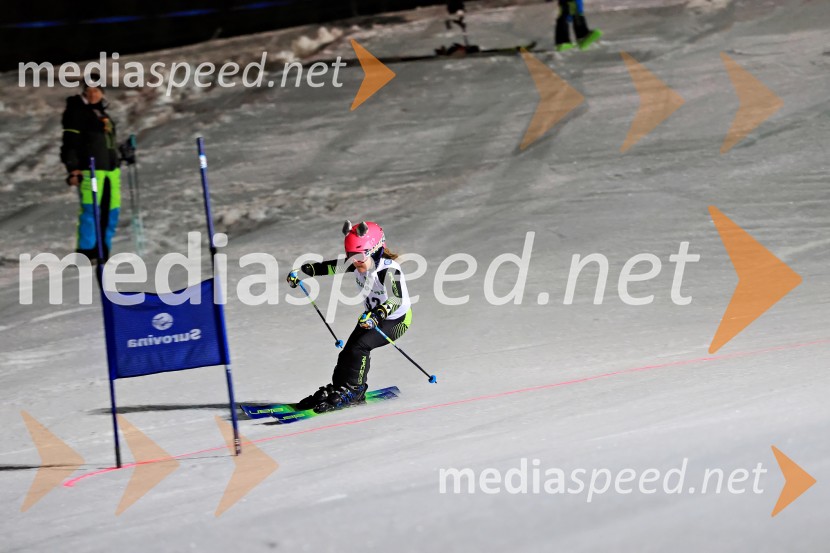 Koroški pokal 2026 - 2. tekma - Ribnica na Pohorju