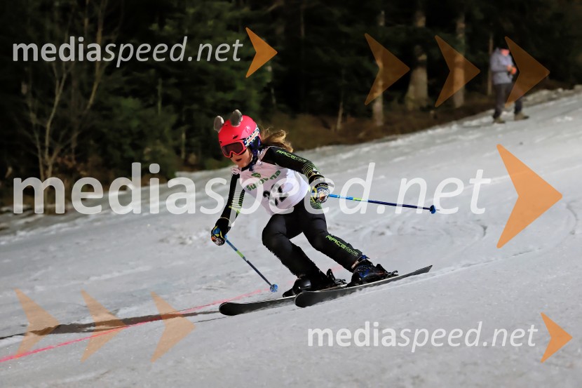 Koroški pokal 2026 - 2. tekma - Ribnica na Pohorju