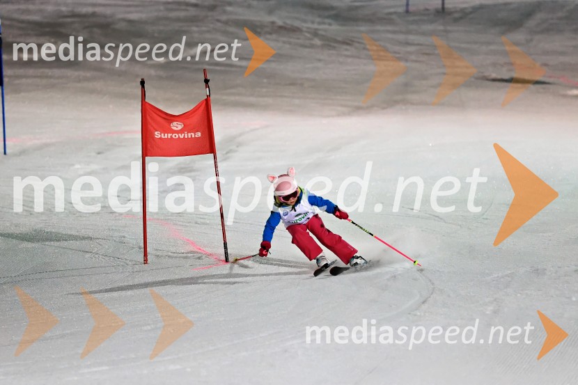 Koroški pokal 2026 - 2. tekma - Ribnica na Pohorju