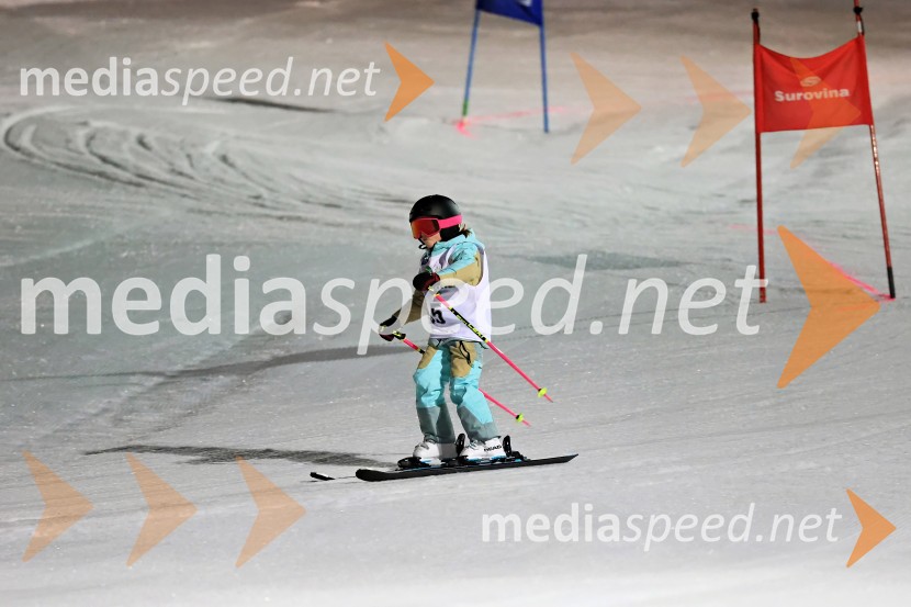 Koroški pokal 2026 - 2. tekma - Ribnica na Pohorju