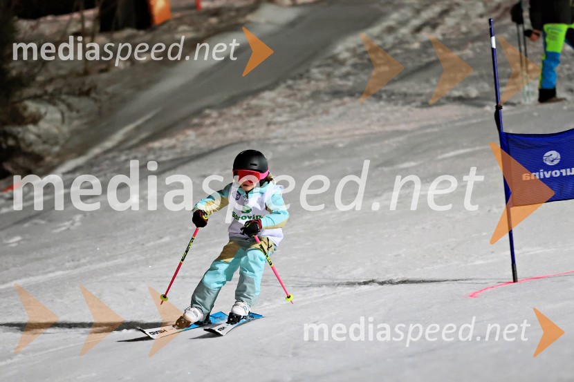 Koroški pokal 2026 - 2. tekma - Ribnica na Pohorju