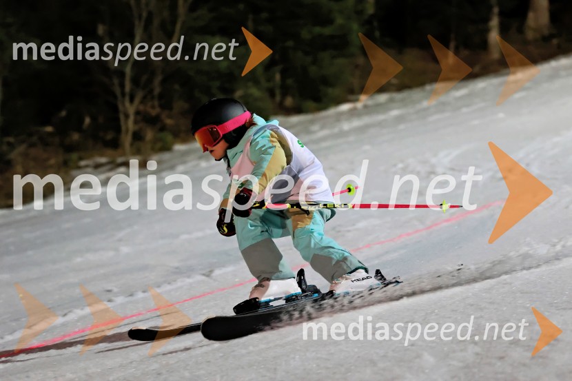 Koroški pokal 2026 - 2. tekma - Ribnica na Pohorju