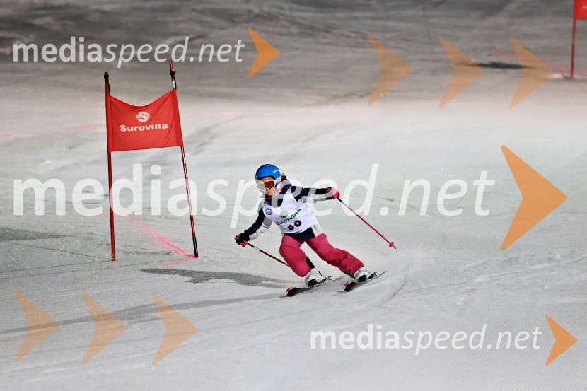 Koroški pokal 2026 - 2. tekma - Ribnica na Pohorju