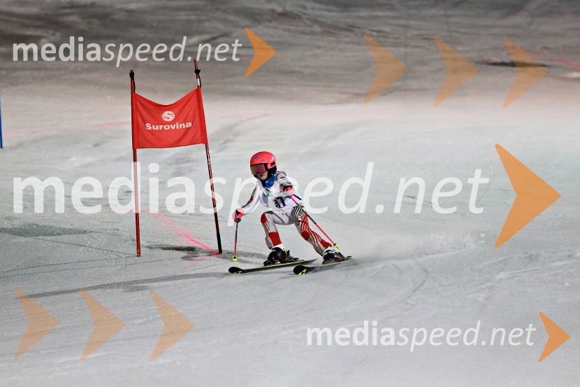 Koroški pokal 2026 - 2. tekma - Ribnica na Pohorju