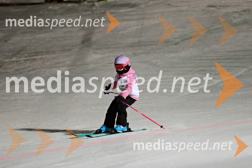 Koroški pokal 2026 - 2. tekma - Ribnica na Pohorju