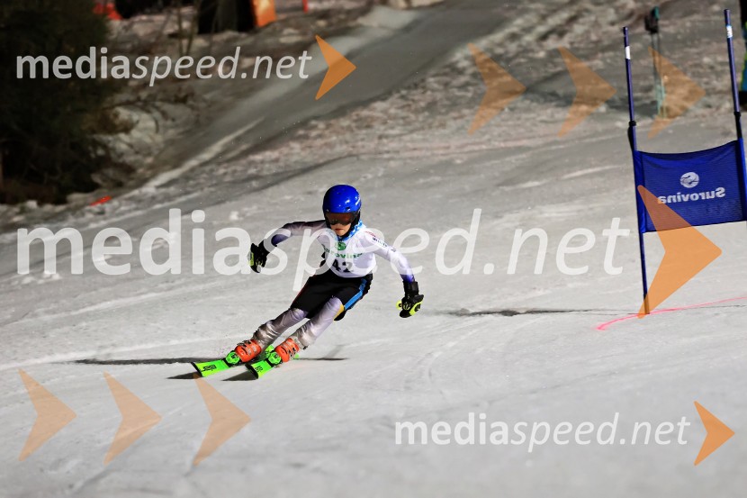 Koroški pokal 2026 - 2. tekma - Ribnica na Pohorju