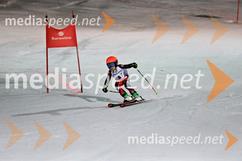 Koroški pokal 2026 - 2. tekma - Ribnica na Pohorju
