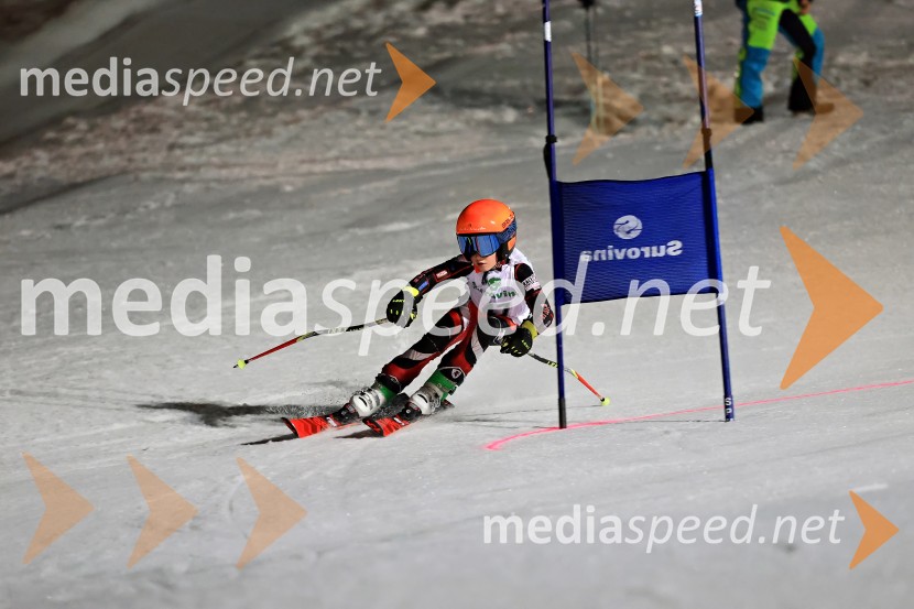 Koroški pokal 2026 - 2. tekma - Ribnica na Pohorju