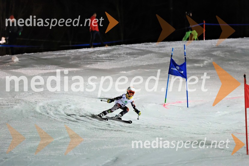 Koroški pokal 2026 - 2. tekma - Ribnica na Pohorju