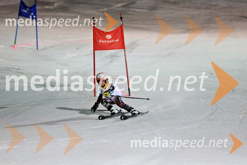 Koroški pokal 2026 - 2. tekma - Ribnica na Pohorju