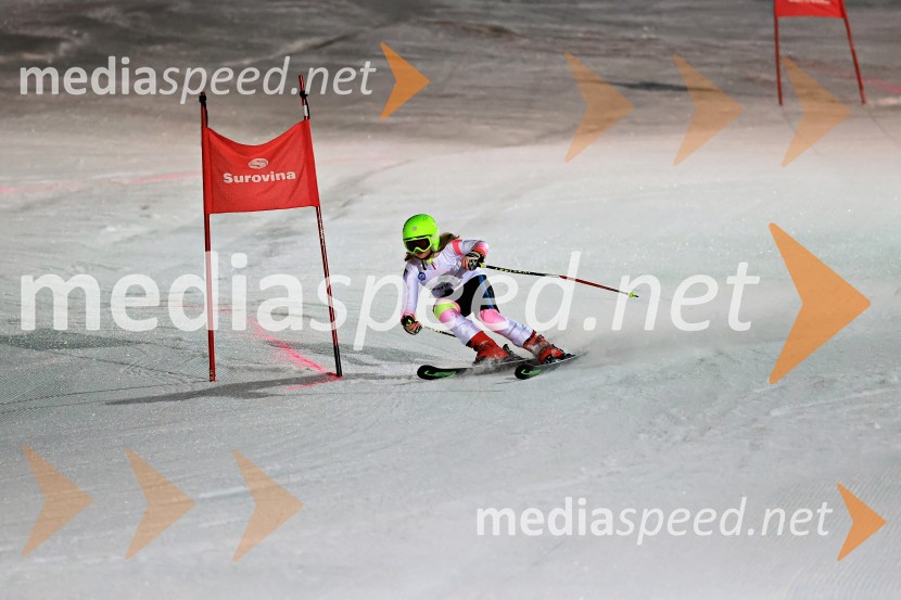 Koroški pokal 2026 - 2. tekma - Ribnica na Pohorju