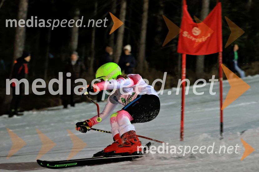 Koroški pokal 2026 - 2. tekma - Ribnica na Pohorju