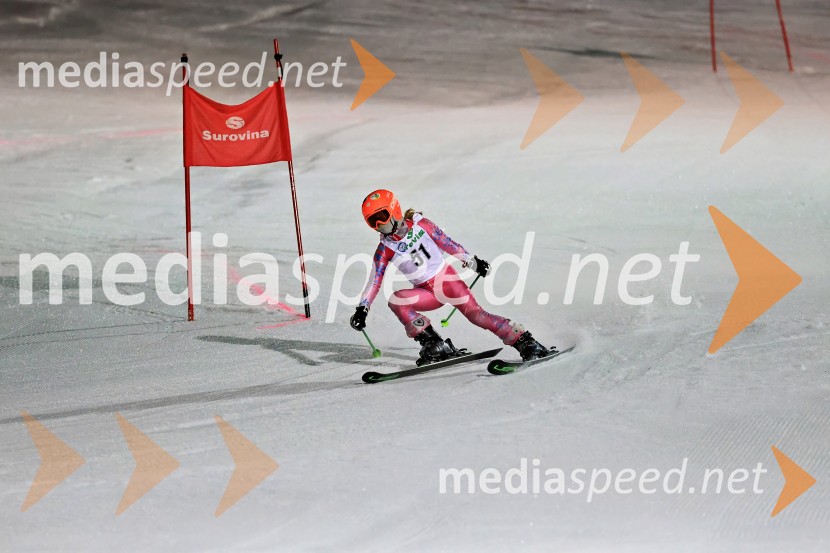 Koroški pokal 2026 - 2. tekma - Ribnica na Pohorju
