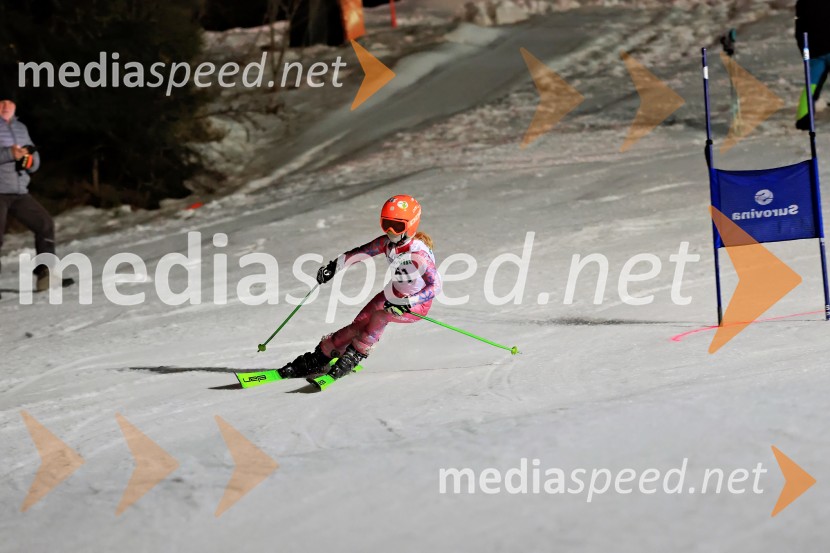 Koroški pokal 2026 - 2. tekma - Ribnica na Pohorju