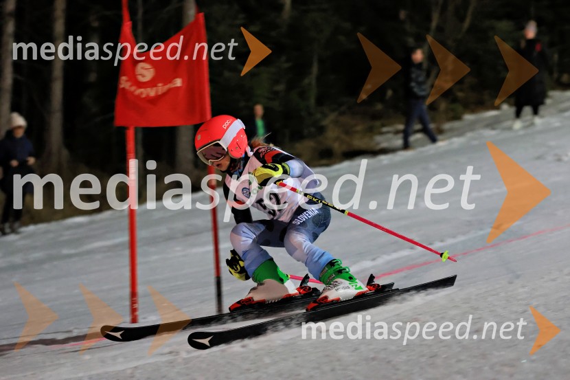 Koroški pokal 2026 - 2. tekma - Ribnica na Pohorju